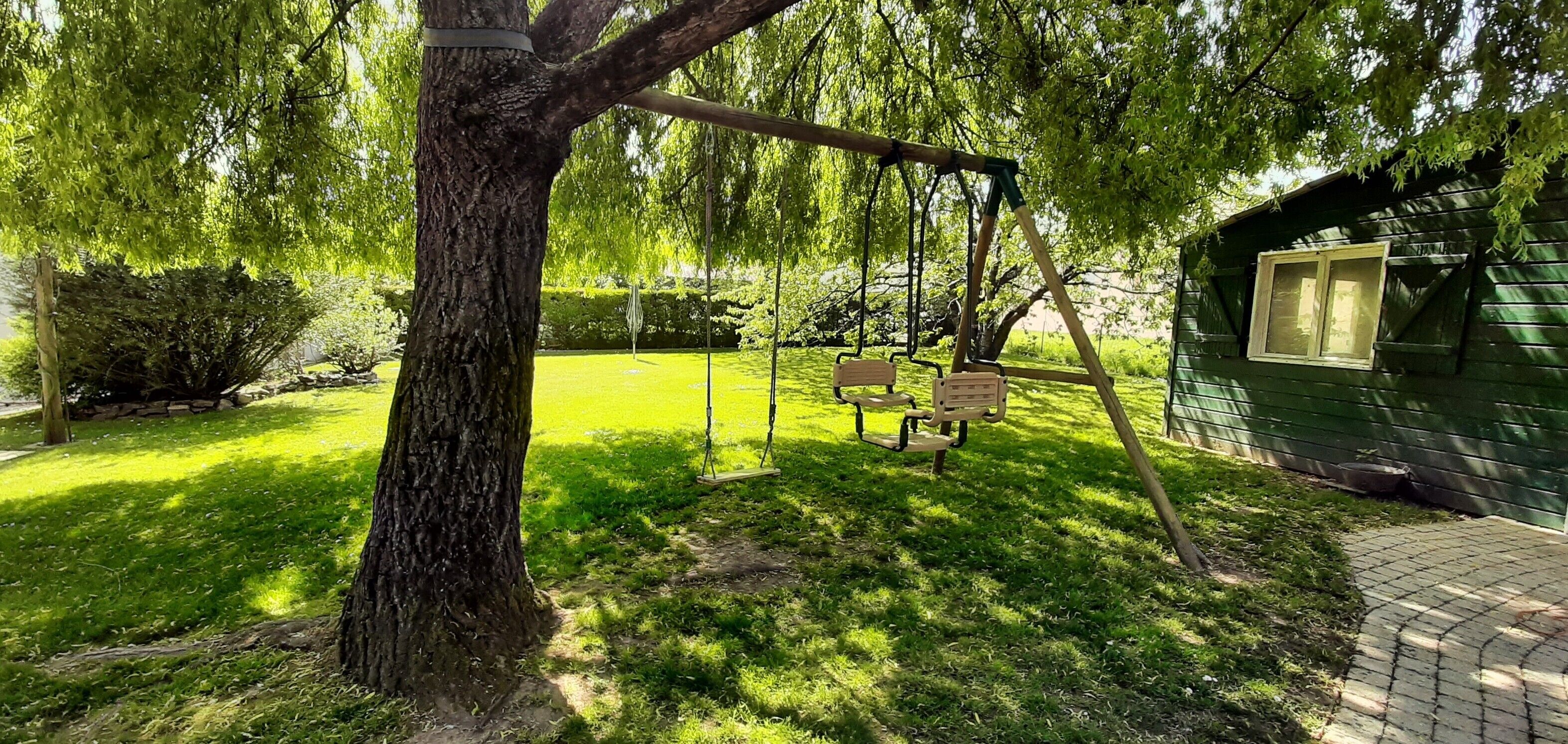 Ein Baum mit einer Schaukel, ein grünes Gebäude und eine gepflasterte Fläche.