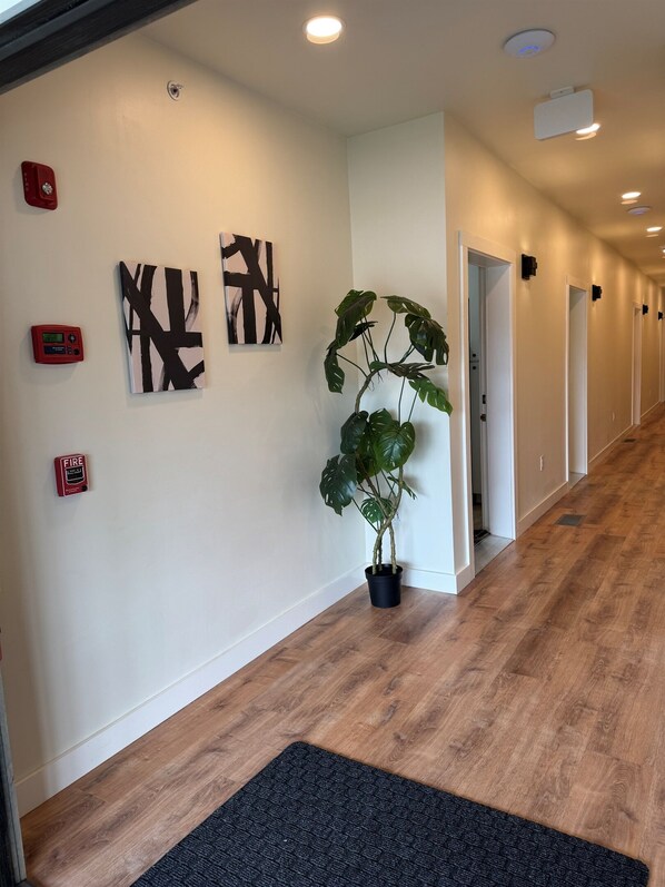 A hallway with wooden flooring, a black doormat, abstract art, a potted plant, and a fire alarm. - Full Renovation, new construction throughout. 7 of 8 Studios, 1 mile to ASV (Oneonta)