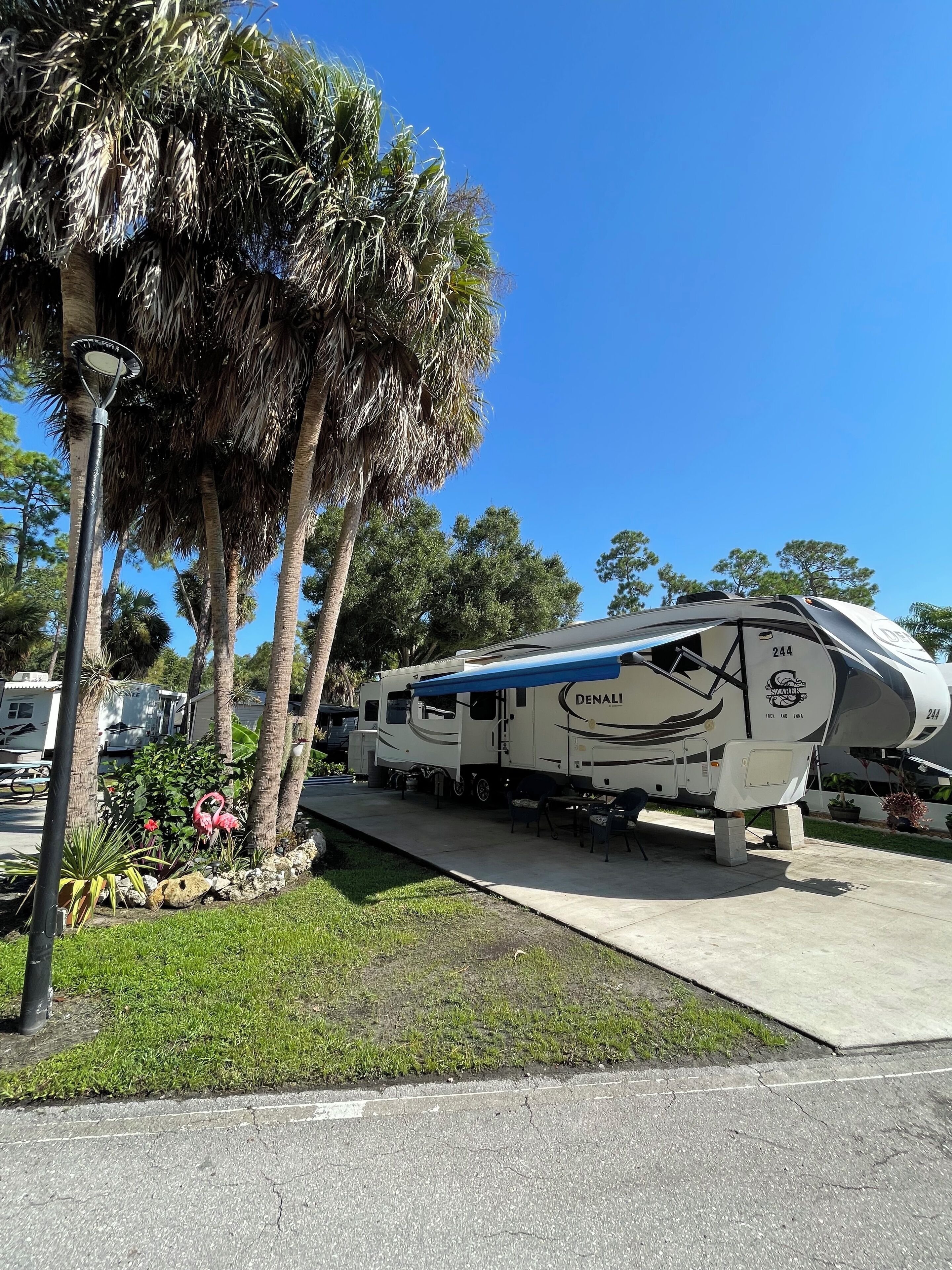 A large RV parked in a well-maintained area with palm trees and a clear blue sky.