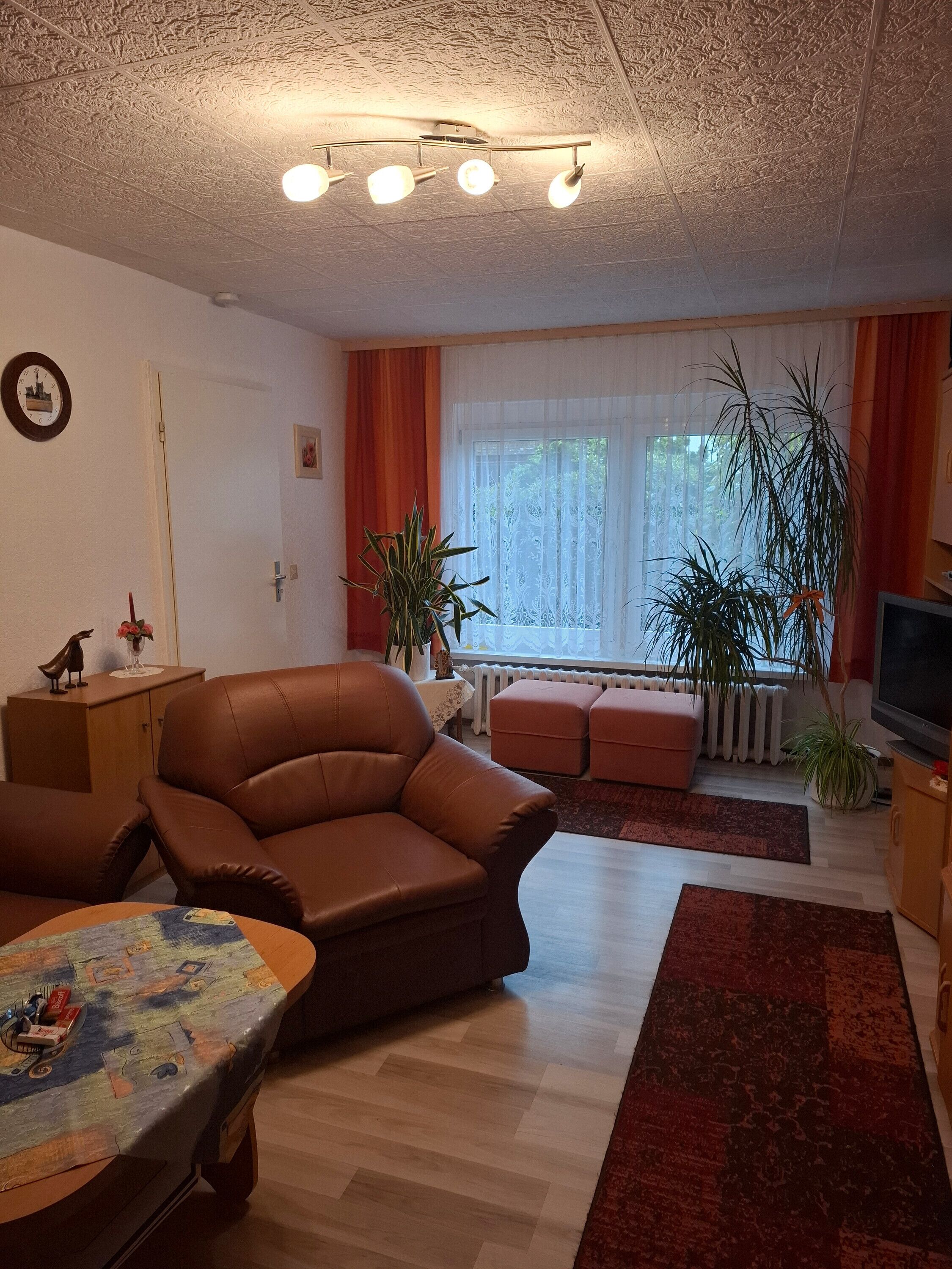 Fernseher, Tischtennisplatte