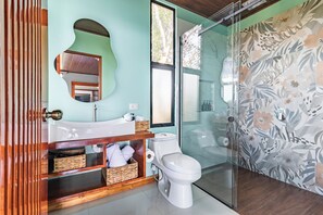 Hair dryer, towels, soap, toilet paper