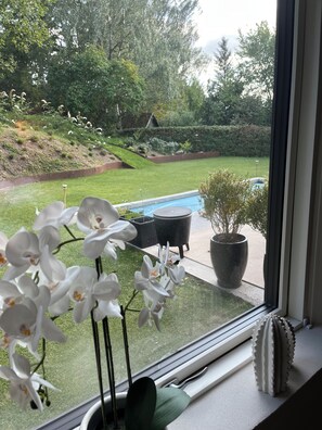 Vista desde la habitación