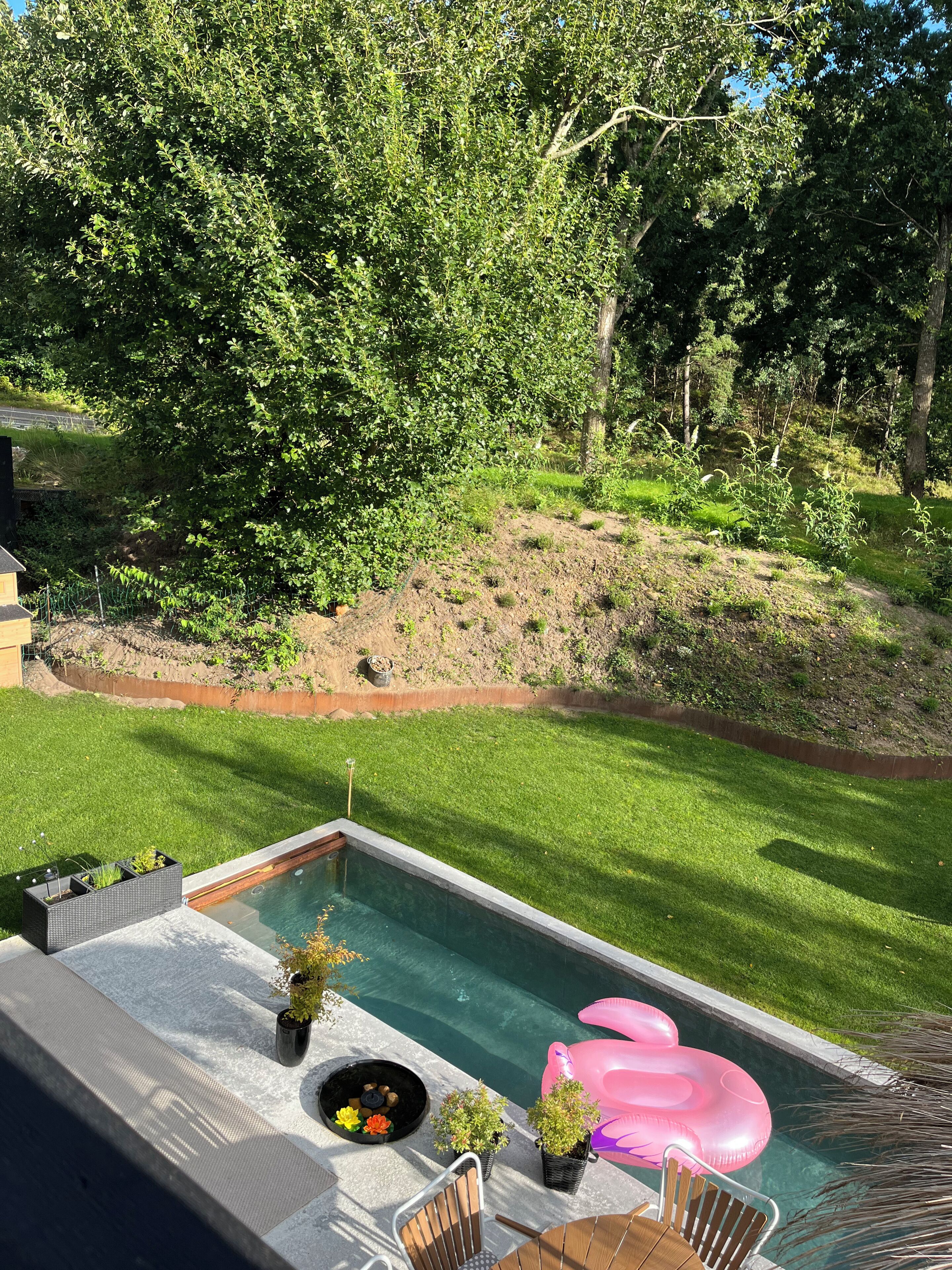 A swimming pool with a wooden deck, lounge chairs, and a pink inflatable flamingo.