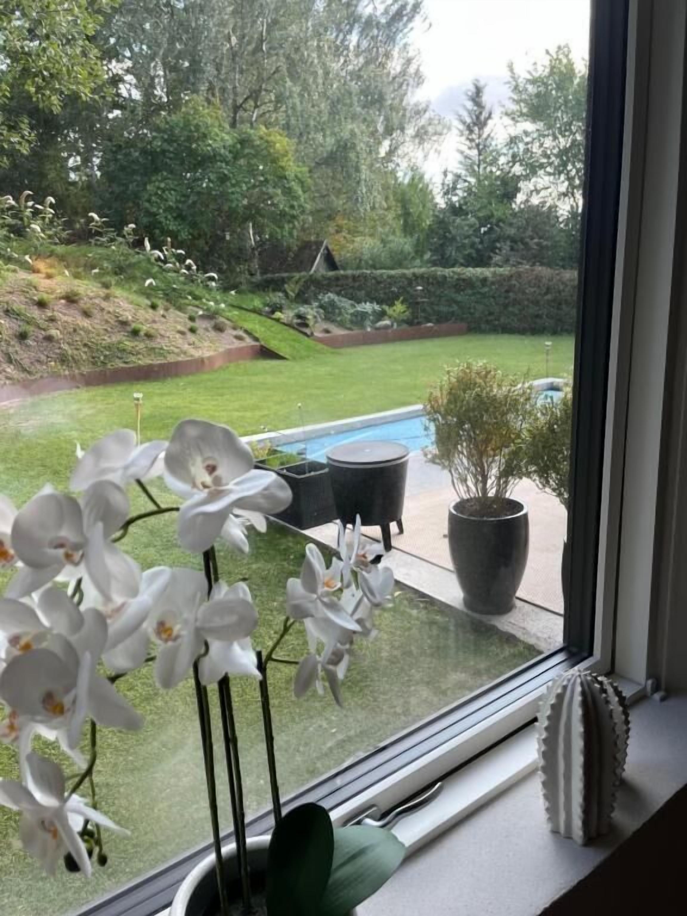 Pemandangan dari kamar