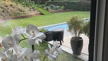 Pemandangan dari kamar