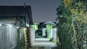 Uma viela estreita com um caminho de concreto, com uma cerca de metal de um lado e folhagem densa do outro.