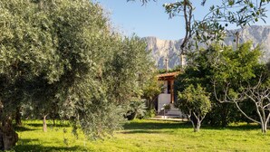 Ein üppiger Garten mit Olivenbäumen, ein kleines Gebäude mit rotem Dach und ein Berg im Hintergrund.