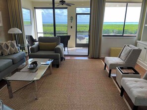 TV - 3-bedroom townhome in fabulous Longboat Key with stunning views and boat dock (Longboat Key)