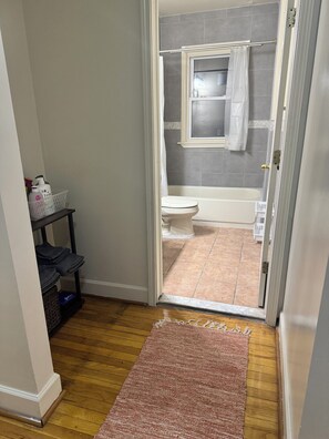 Hair dryer, towels, soap, toilet paper - Downtown Detroit Getaway (Detroit)
