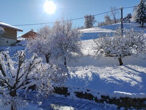 Área da propriedade
