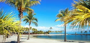 A beach with palm trees and a clear blue sky. - 2BR • 4 Beds • by Miami SoFi Vacation Rentals <br>Tucked in a quiet Palmetto Bay neighborhood, this property offers stylish 2BR/1BA stays with thoughtful design, outdoor spaces, and easy access to parks, dining, and Miami hotspots. (Palmetto Bay)