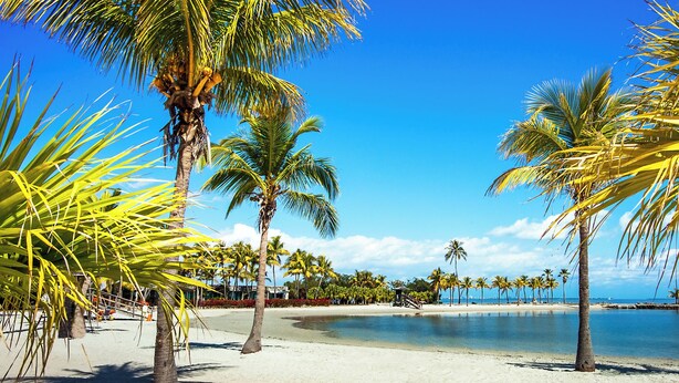 A beach with palm trees and a clear blue sky. - 2BR • 4 Beds • by Miami SoFi Vacation Rentals <br>Tucked in a quiet Palmetto Bay neighborhood, this property offers stylish 2BR/1BA stays with thoughtful design, outdoor spaces, and easy access to parks, dining, and Miami hotspots. (Palmetto Bay)