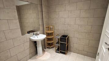 Shower, hair dryer, bidet, towels