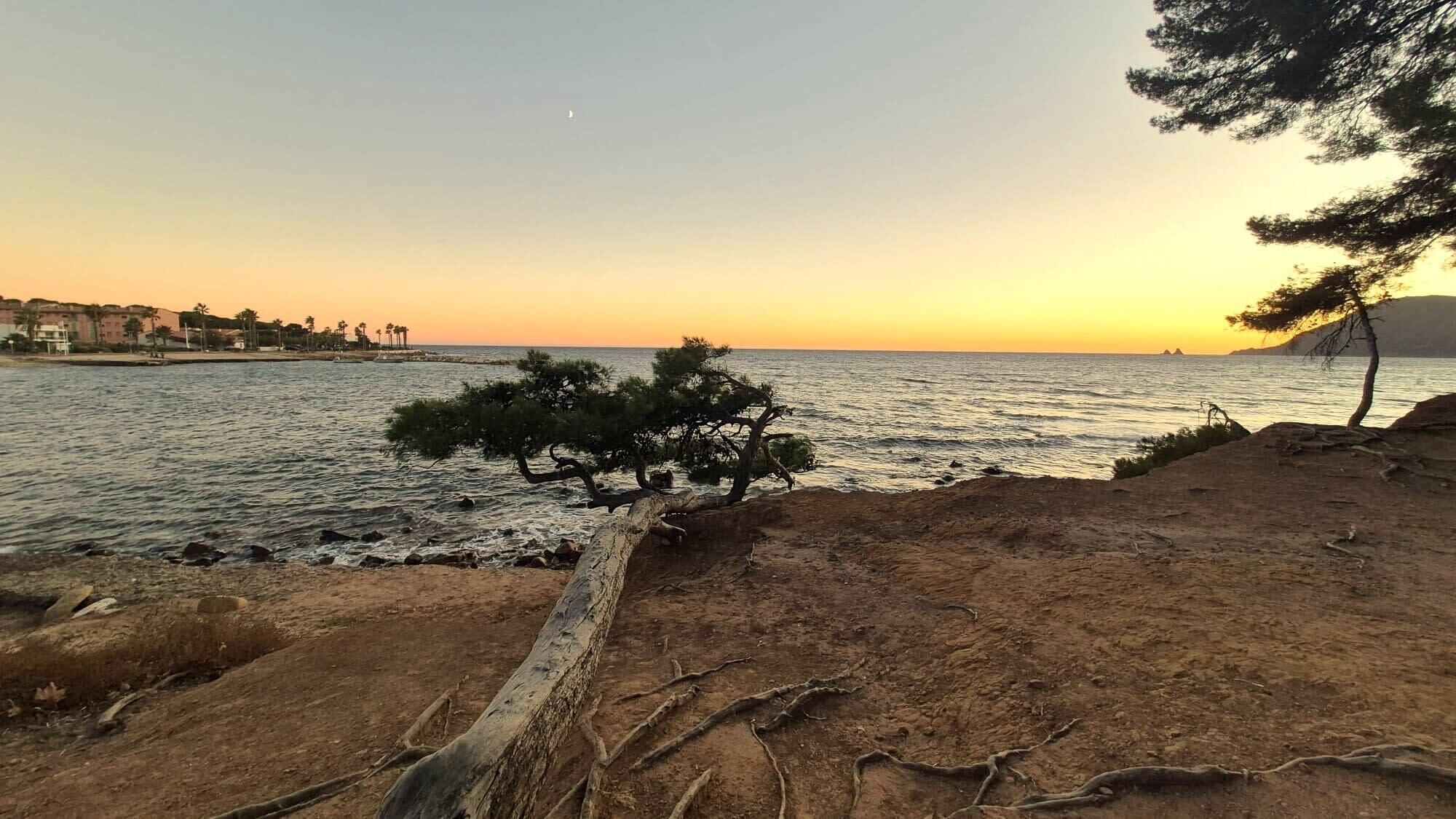 Paisagem costeira com linha de costa rochosa, um pinheiro e uma vista distante de edifícios e colinas.