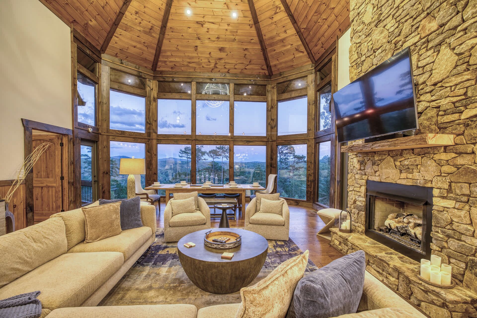 Televisión, chimenea, videojuegos, libros