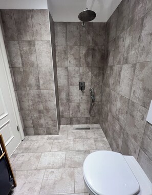 Shower, hair dryer, bidet, towels