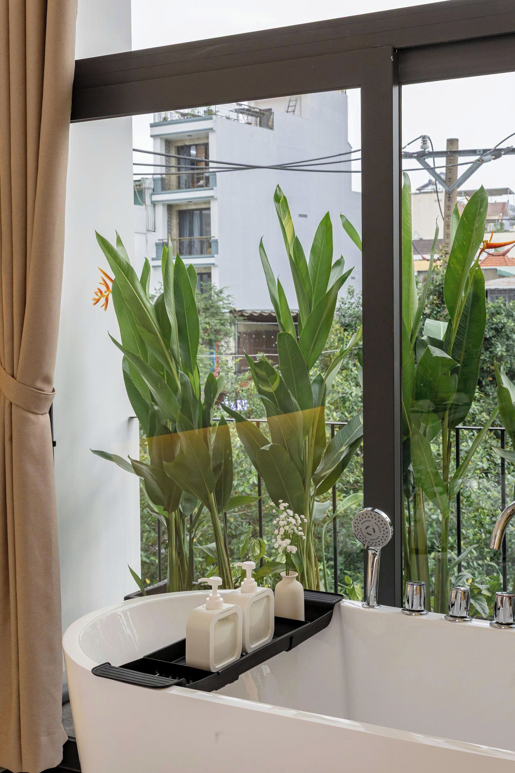 Un bany modern amb banyera, una finestra amb vista a edificis i plantes en testos.