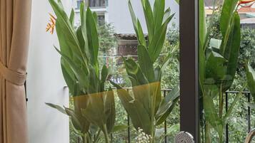 Un bany modern amb banyera, una finestra amb vista a edificis i plantes en testos.