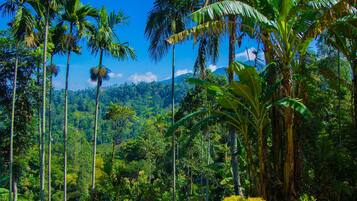 Vue depuis lâhĂ©bergement