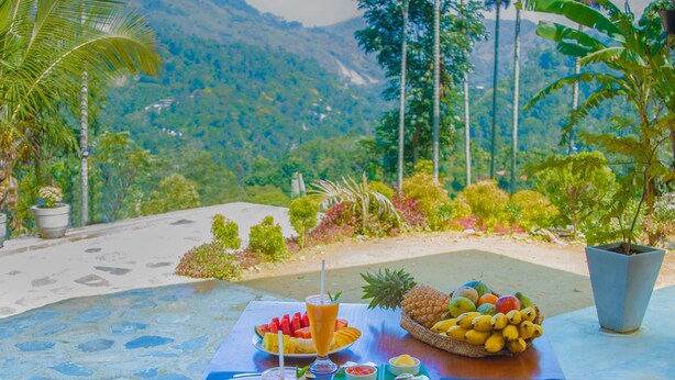 A table set with various fruits, drinks, and snacks, overlooking a mountainous landscape with palm trees. - Tunnel Top Inn Ella (Ella)