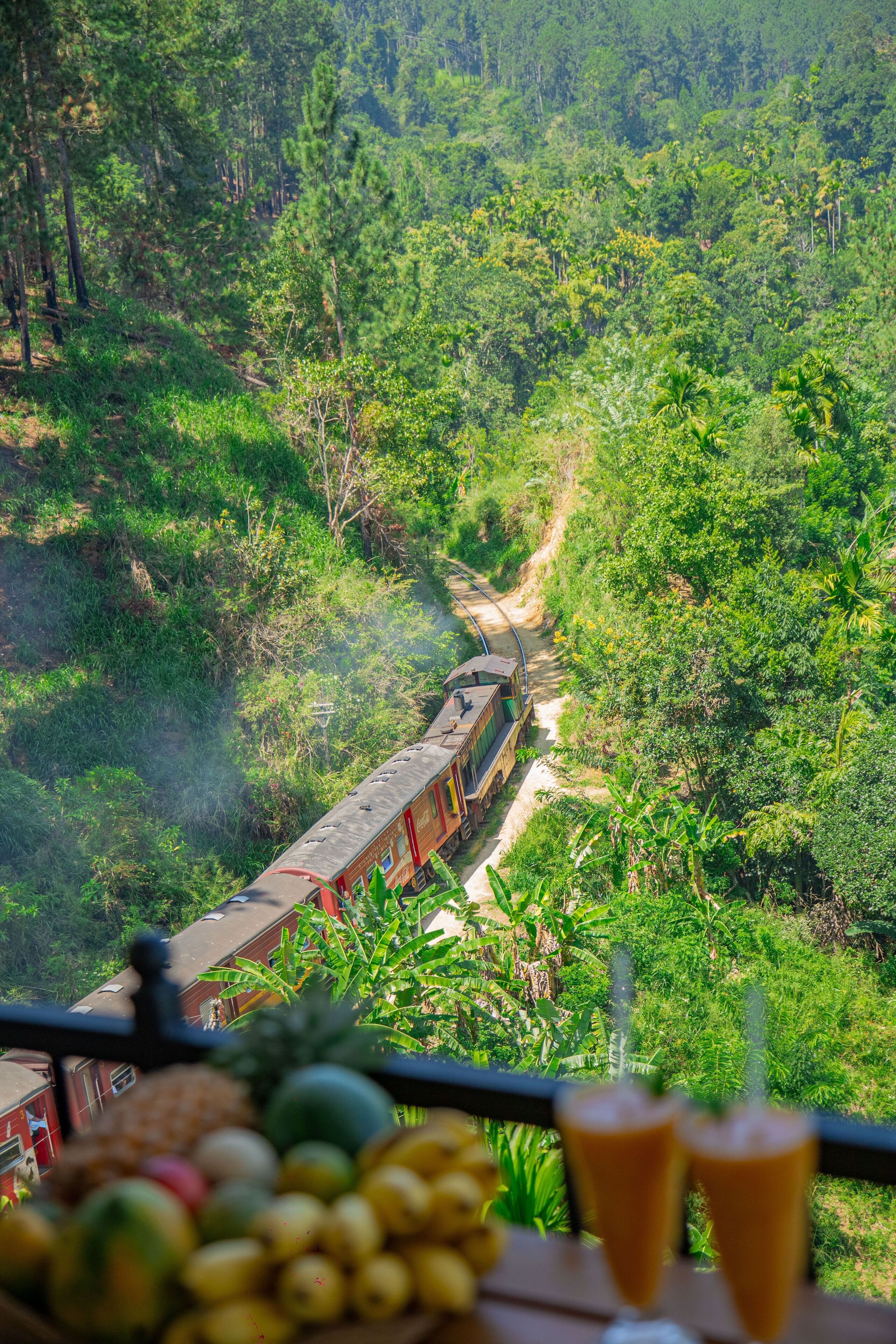 A scenic view of a train traveling through a lush, green landscape.