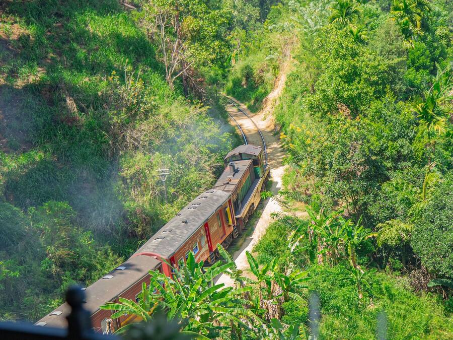 A scenic view of a train traveling through a lush, green landscape.