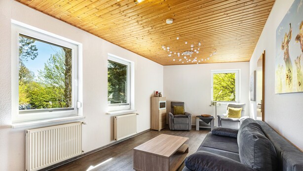 Un salon moderne avec un plafond en bois, de grandes fenêtres, un canapé gris et une table basse en bois.