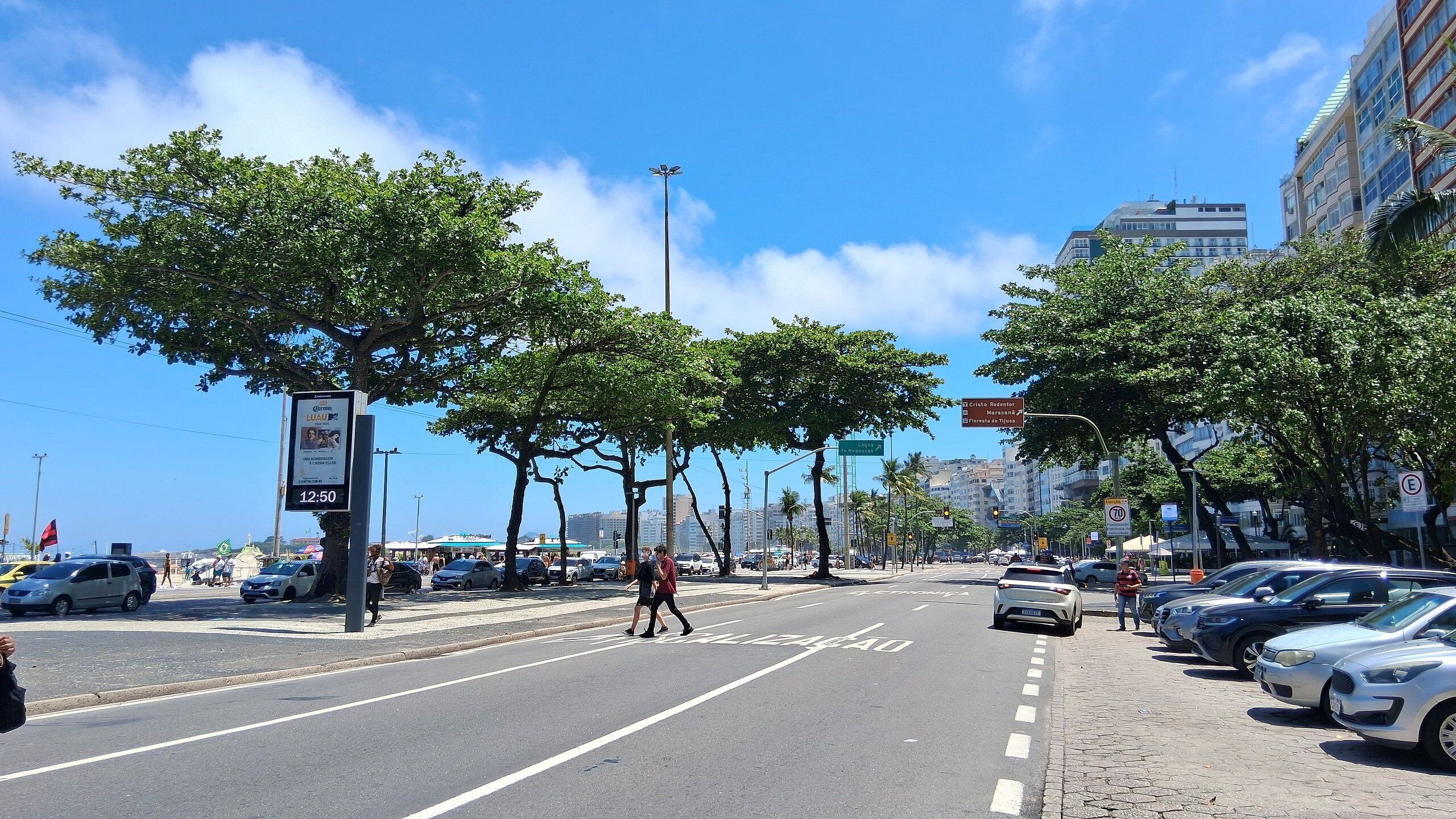Une rue bordée d’arbres, avec des voitures garées le long du trottoir et un passage piéton.