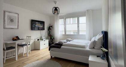 Lago Apartment in Rorschach 1 min zum Bodensee