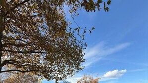 En park med en gräsyta täckt av fallna löv, en lusthus och en vattenyta i bakgrunden.