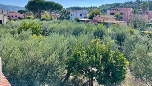 Un quartiere residenziale con case, alberi e cielo sereno.