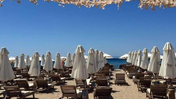 Une plage bordée de rangées de chaises longues et de parasols, un ciel dégagé et l’océan en toile de fond.