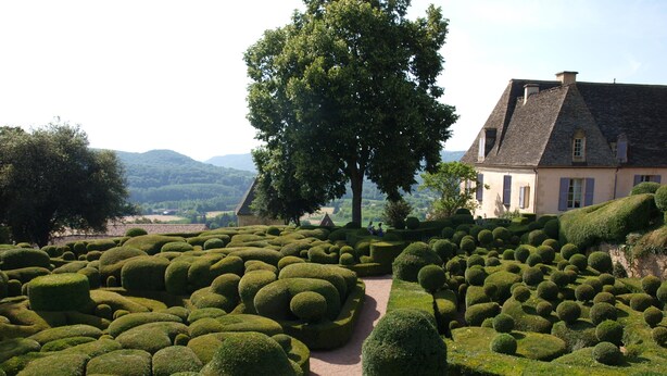 Ein sorgfältig angelegter Garten mit geometrisch geschnittenen Hecken, einem markanten Baum und einem Gebäude mit Satteldach.