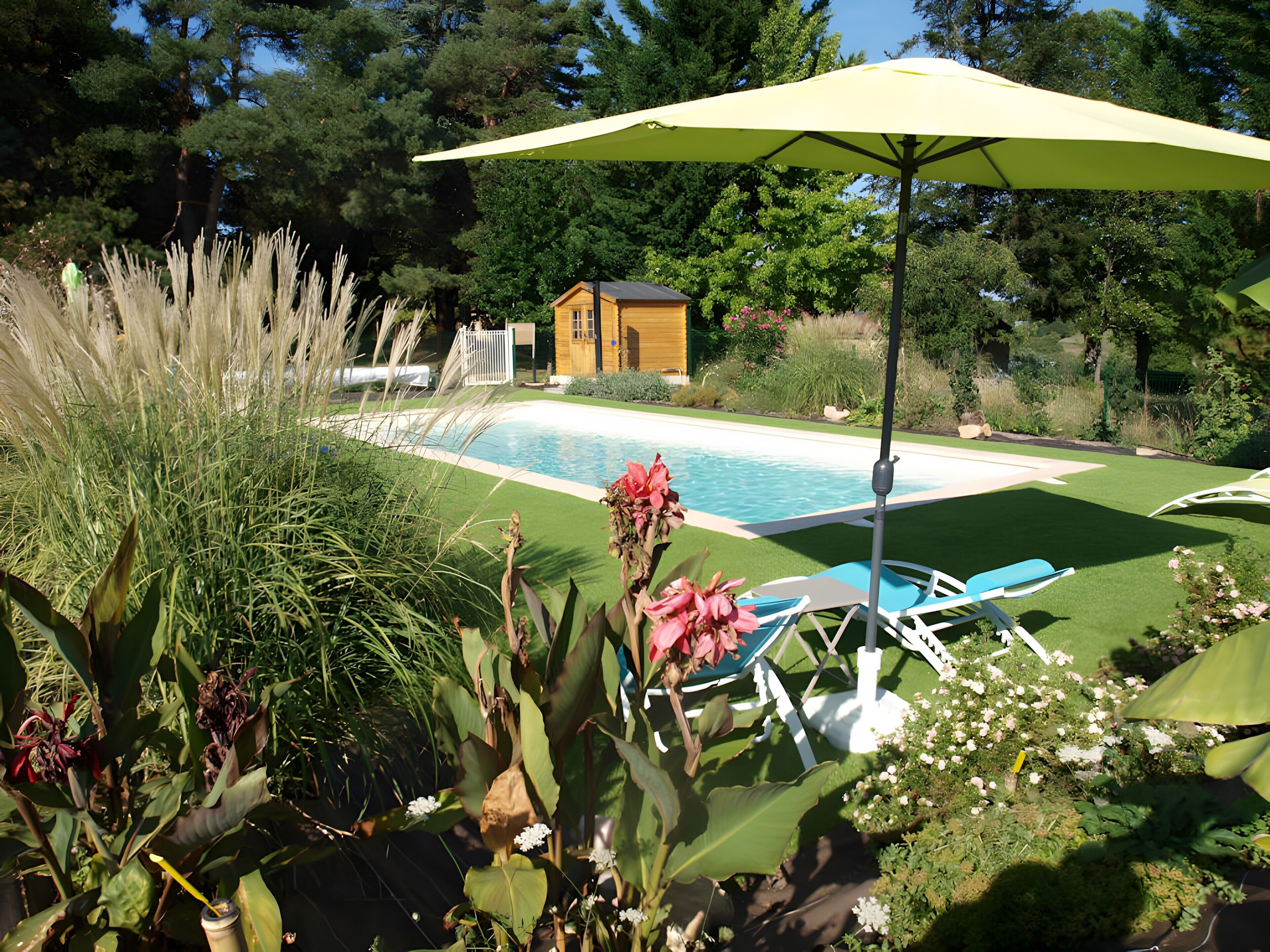 Une piscine dotée de chaises longues et d’un parasol, entourée d’une végétation luxuriante et bordée d’un bâtiment en bois.