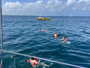 Eine Gruppe Menschen schwimmt im Meer, im Hintergrund sind Boote zu sehen.