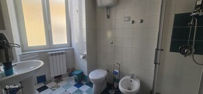 Dusche, Haartrockner, Bidet, Handtücher