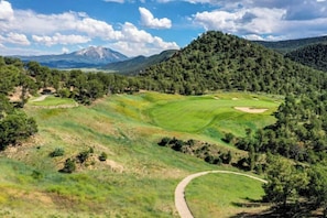 Golf - Roaring Fork Retreat Hot Tub Pet-Friendly (Glenwood Springs)