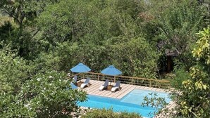 A pool area with lounge chairs and umbrellas surrounded by dense foliage. - Rukgala Retreat (Digana, Kandy)
