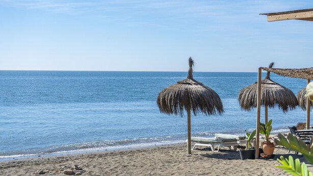 Una spiaggia con ombrelloni di paglia, lettini e piante in vaso.