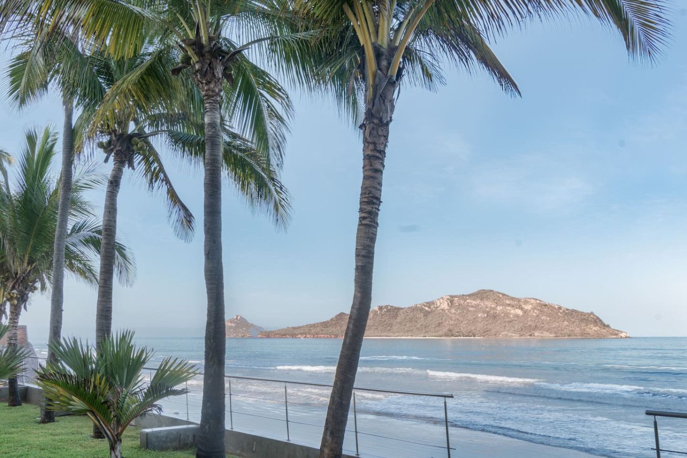 A coastal view with palm trees and a distant mountain.