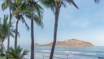 A coastal view with palm trees and a distant mountain.