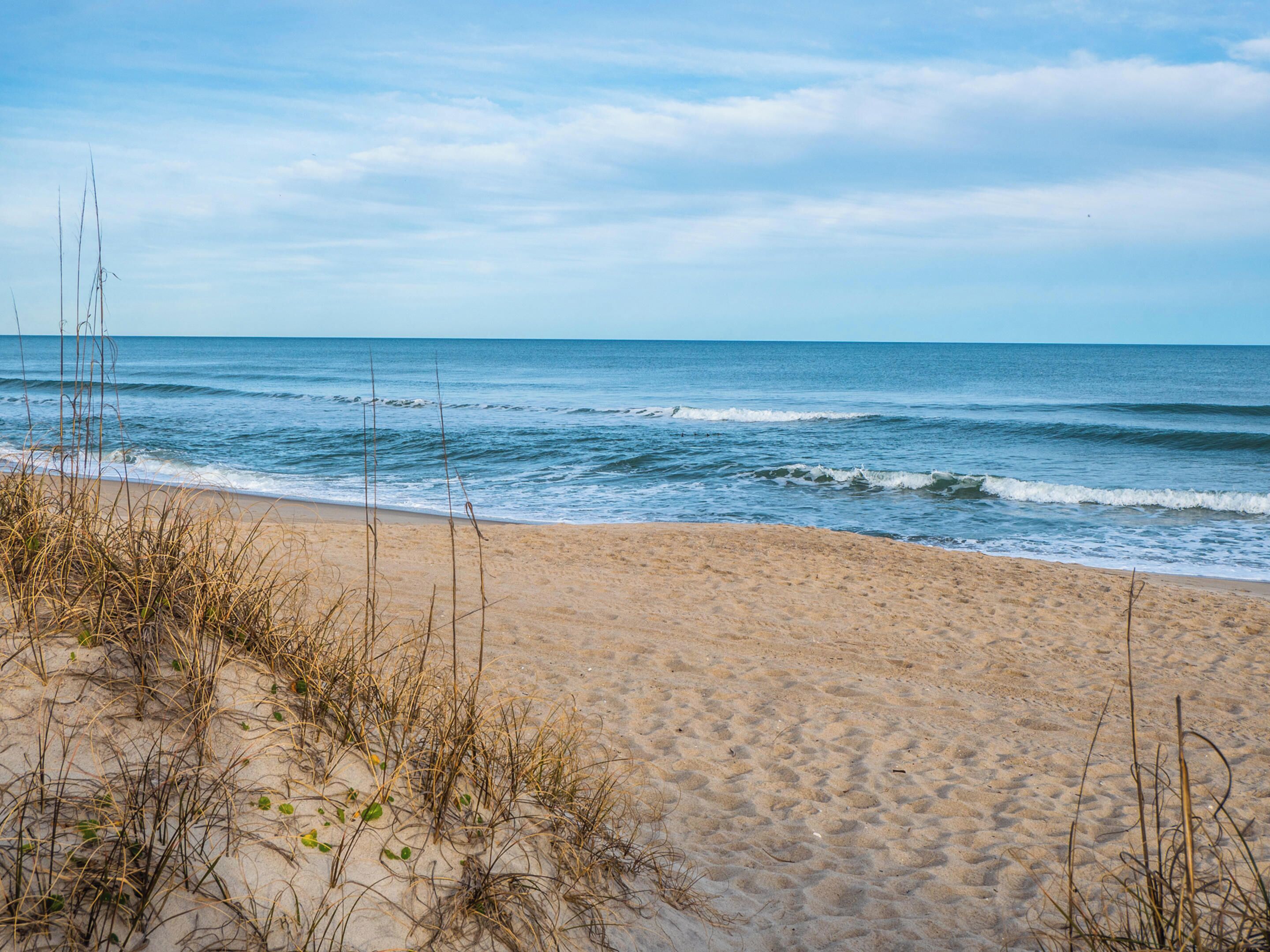 A beach with sand and sparse vegetation.