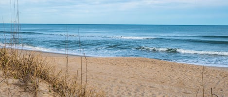 A beach with sand and sparse vegetation.