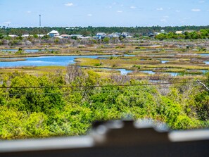 Studio (5 Bedrooms) | Property amenity - Good Tide-ings (Sneads Ferry)