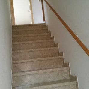 A staircase with a wooden handrail and beige steps.