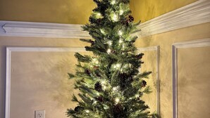 A Christmas tree in a corner with a painting on the wall. - Cozy house in Bridgeport WV - 5 Bedrooms (Bridgeport)