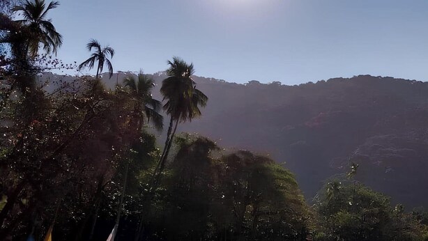 A mountainous landscape with dense vegetation and palm trees.