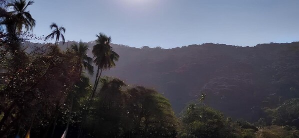 Landuitzicht vanuit accommodatie