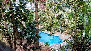 A swimming pool surrounded by lush greenery and palm trees.