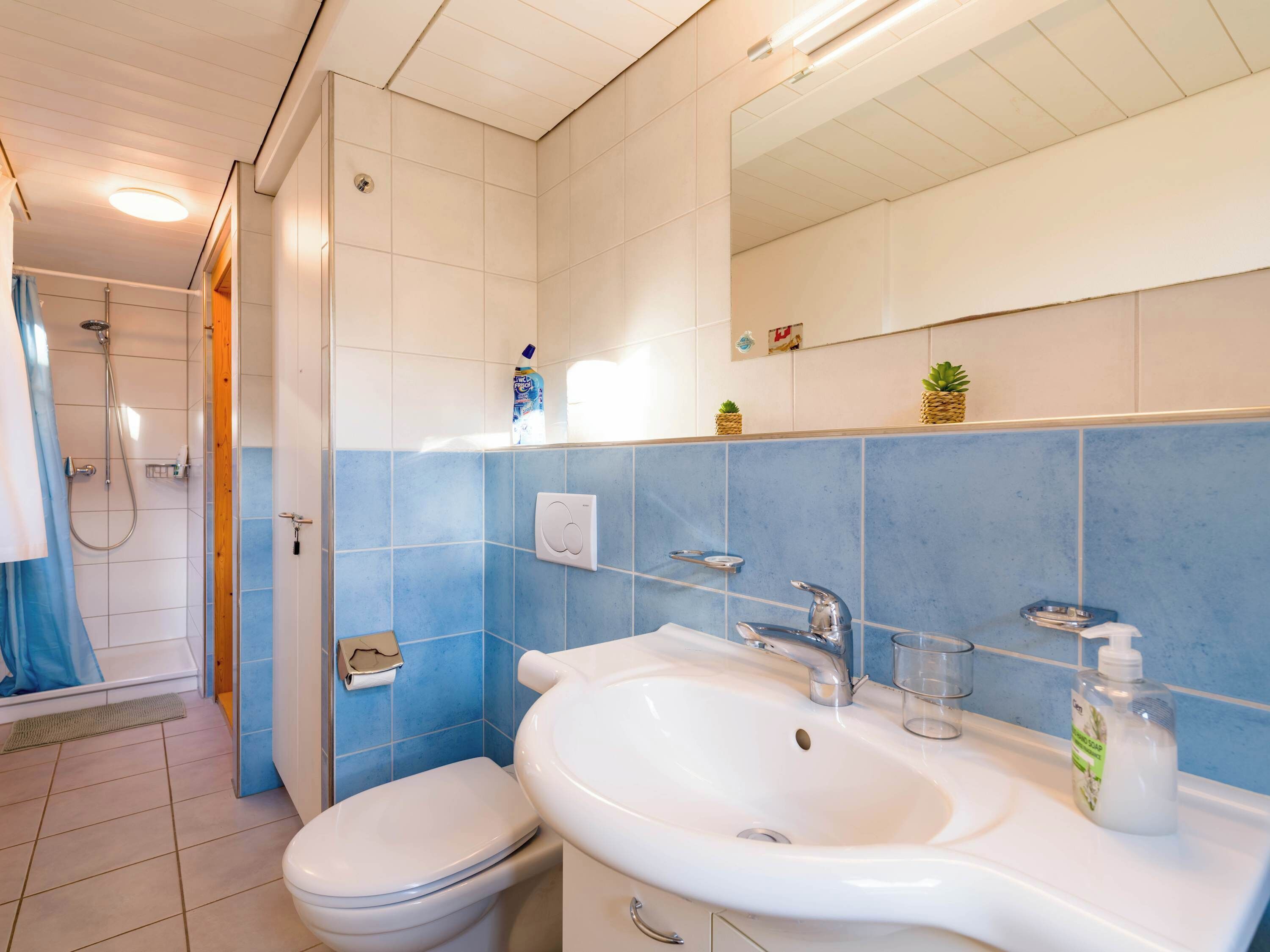 Une salle de bain avec des toilettes, un lavabo et une douche.